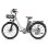 Bicicleta Elétrica Fafrees F26 250W Bateria 36V 25Ah Amortecida