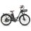 Bicicleta Elétrica Fafrees F26 Lasting 36V 25Ah 26 polegadas