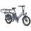 Vélo Électrique Fafrees FF20 CUV Double Batterie 250W