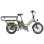 Bicicleta Elétrica Fafrees FF20 CUV Motor 250W Duas Baterias 48V 12Ah 20"