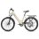 Bicicleta eletrica FAFREES F26 Pro Motor 250W Batterie 36V 15Ah