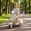 Motocicleta Elétrica Infantil AIYAPLAY Licença Vespa - Rodas de Apoio Removíveis Branca