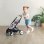Carrinho de bonecas Smoby 3 em 1 nacela removivel rosa 42 cm