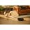 Saugroboter mit Wischfunktion Roborock Q10 VF+ Mit Absaugstation Navigation LiDAR 10.000 Pa