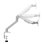 White Shark AKHENATEN Support Moniteur 17 à 32" VESA 75x75 à 100x100 Max 9Kg Bureau Argent