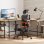 Chaise de bureau Newtral NT001 ergonomique avec soutien lombaire