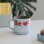 Taza Be Mine Pusheen The Cat Cerámica 380 Mls
