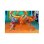 Figura Dhalsim Deluxe Street Fighter Ii The Final Challengers Articulada 16,5 Cms