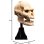 Estatua Skull Of Lurtz Calavera De Lurtz El Señor De Los Anillos Weta Workshop 14 Cms