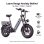 Bicicleta Eléctrica HillMiles MileLink 1 Fatbike 250W hasta 130 km