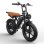 Bicicleta Eléctrica Toofly G20 250W 48V 15,6Ah 20×4