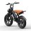 Bicicleta Eléctrica Toofly G20 250W 48V 15,6Ah 20×4