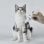 Cortapelos para mascotas Petkit Trimmer Pro PK413 Inalámbrico 2 en 1