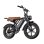Toofly G20 Bicicleta Eléctrica para Adultos 250W Motor 48V 15.6Ah Batería 20*4 Neumáticos Anchos Todo Terreno Bicicleta Eléctrica