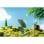 Ratón Gaming 8BitDo Retro R8 Wireless PAW 3395 26K DPI Forest Wonder