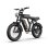 Bicicleta Eléctrica URLIFE T2 250W 48V 15.6Ah 120 km Autonomía 20" Fat