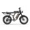 Bicicleta Eléctrica URLIFE T2 250W 48V 15.6Ah 120 km Autonomía 20" Fat