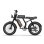 Bicicleta Eléctrica URLIFE T2 250W 48V 15.6Ah 120 km Autonomía 20" Fat