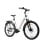 Bicicleta Eléctrica TTGO Z5 Motor 250W Batería 36V 18Ah