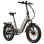 Bicicleta Eléctrica TTGO F7 250W 48V 15Ah 20"