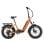 Bicicleta eléctrica TTGO F6 Boost 250 W 48 V 18 Ah 20 x 4,0"