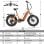 Bicicleta eléctrica TTGO F6 Boost 250 W 48 V 18 Ah 20 x 4,0"