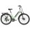 Bicicleta eléctrica Bekup V28 250 W 36 V 14,5 Ah 28" verde
