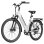 Bicicleta eléctrica Bekup V28 250 W 36 V 14,5 Ah suspensión 28"