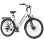 Bicicleta eléctrica Bekup V28 250 W 36 V 14,5 Ah suspensión 28"