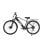 Velo Elettrico Urbano Finer Mobility M1 High-Step 250W 36V 13Ah