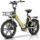 Elektrofahrrad Kaisda K201 All-Terrain 20 Zoll