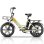 Elektrofahrrad Kaisda K201 All-Terrain 20 Zoll