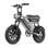URLIFE T16 Bicicleta Eléctrica Todoterreno 250W/48V 13Ah/Pantalla LCD