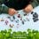 LEGO Minifigures Edición Shrek Minifigura Aleatoria 71053 7 piezas