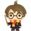Llavero Harry Potter Cabezón 6 Cms