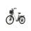 Bicicleta eléctrica urbana TTGO C2 Pro 250 W 36 V 18 Ah 26 pulgadas