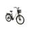 Bicicleta eléctrica urbana TTGO C2 Pro 250 W 36 V 18 Ah 26 pulgadas