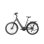 Bicicleta eletrica urbana TTGO Z5 Mot central 36V 250W