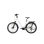Bicicleta Eléctrica Urbana TTGO Z5 Motor Central 250W