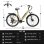 Stadt Elektro Fahrrad TTGO C3 SE 250W 36V 18Ah