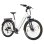 Bicicletta Elettrica Urbana TTGO Z3 48V 250W