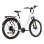 Bicicletta Elettrica Urbana TTGO Z3 48V 250W
