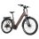 Bicicletta elettrica TTGO Z3 48V 250W Autonomia 120km