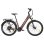 Bicicletta elettrica TTGO Z3 48V 250W Autonomia 120km