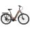 Bicicletta Elettrica Urbana TTGO C7 SE