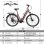 Bicicletta Elettrica Urbana TTGO C7 SE