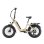 Bicicleta eléctrica TTGO F6 Boost 250W 48V 18Ah 20" suspensión todoterreno