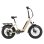 Bicicleta eléctrica TTGO F6 Boost 250W 48V 18Ah 20" suspensión todoterreno