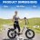 Bicicleta eléctrica TTGO F6 Boost 250W 48V 18Ah 20" suspensión todoterreno