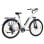 Velo electrique TTGO Hz-28ST 36V 20Ah 28 pouces